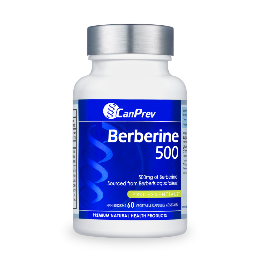 CanPrev Berberine 60 cap bottle supports glucose metabolism and cholesterol management, featuring 500mg Berberis aquifolium extract for metabolic and cardiovascular health.