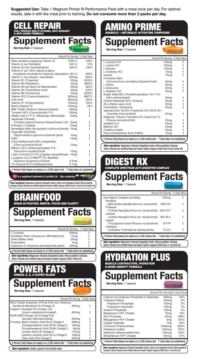 Magnum Primer 24 Pack