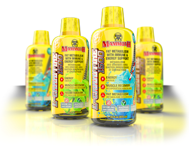 Mammoth L-Carnitine 1500 bottles arranged, showcasing a caffeine-free, energy-boosting supplement in liquid form, ideal for enhancing metabolism and workout recovery.